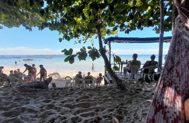 Hotel Monkey Beach Agroturismo - Gamboa do Morro