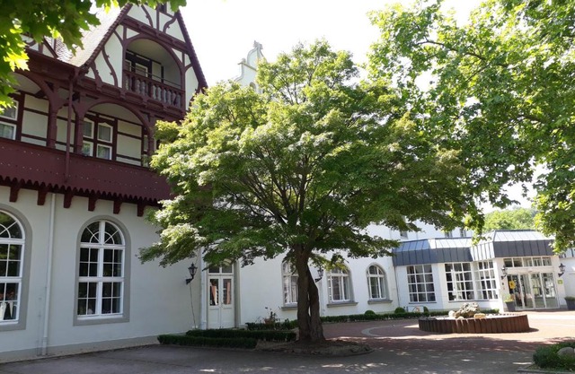 Hotel Mutiger Ritter