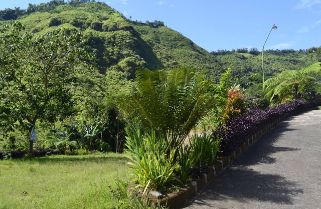 Hotel Nadia Bromo