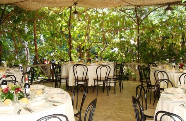 Hotel Paradiso