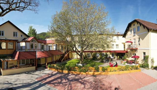 Hotel Payerbacherhof