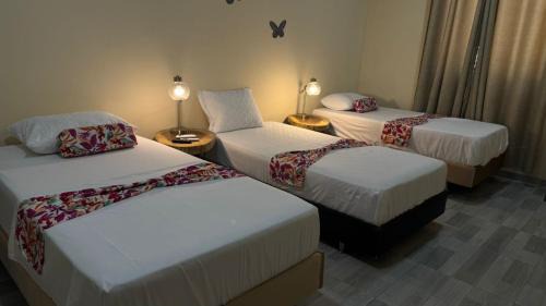Hotel, Restaurante DON ALBERTO