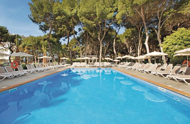 Hotel Riu Festival