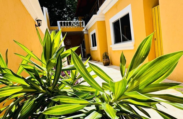 Hotel Rodriguez