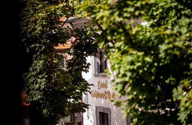 Hotel Schwan & Post