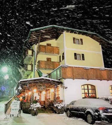 Hotel Tosa