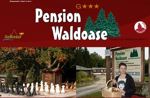 Hotel Waldoase Hirschbüchenkopf