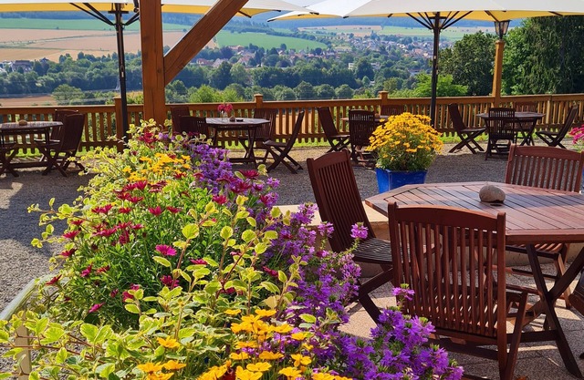 Hotel Waldquelle - Baumhaushotel Aerzen