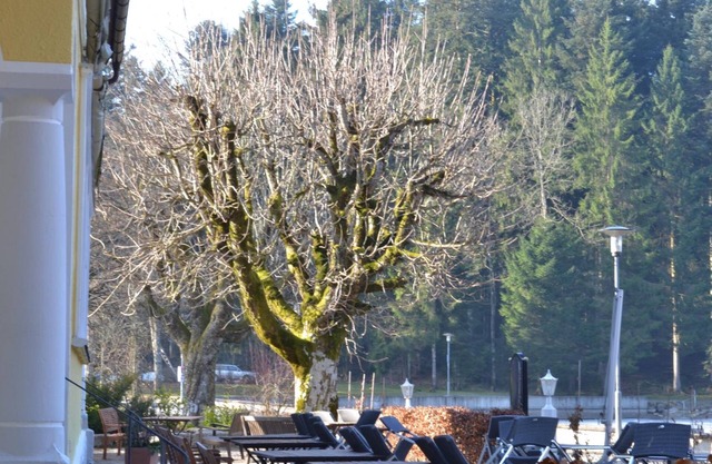 Hotel Waldsee