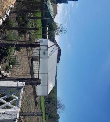 Hotelul din grădină lui geani