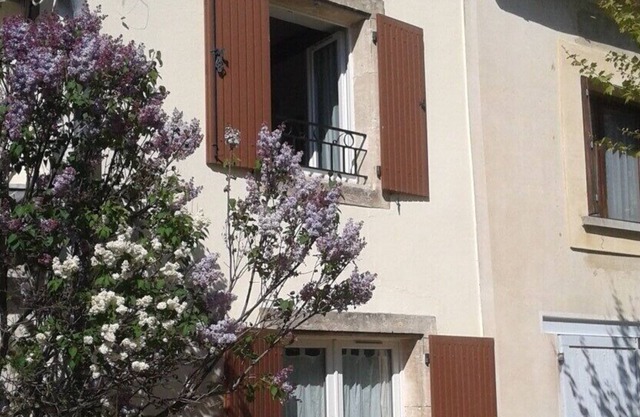House under the plane trees