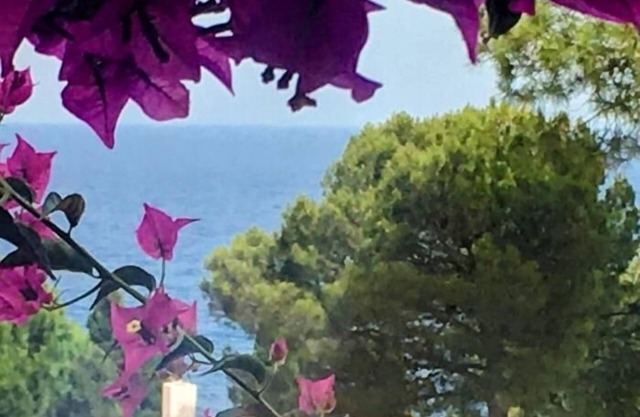 House beach in Cala Salions