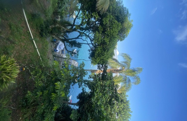 House facing the sea, located in the bay of Paraty.