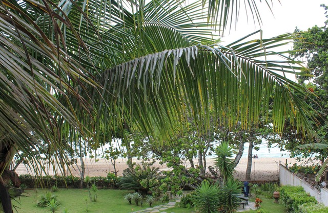 House Foot in the Red sand of the Center 100m Tenório