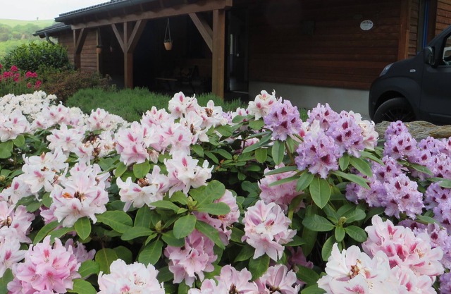 House for 4 guests with 75m² in Rieden (131367)