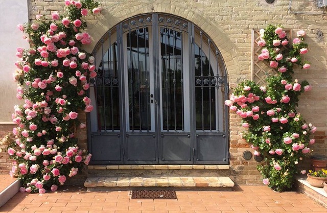 House immersed in the Marche countryside