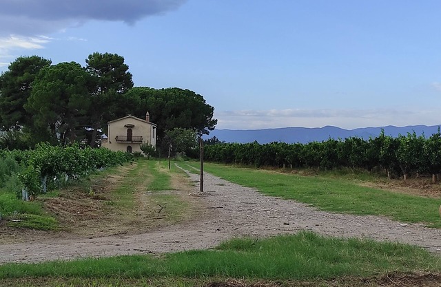 House in a romantic citrus grove, private access to the beach, relax and tranquility!
