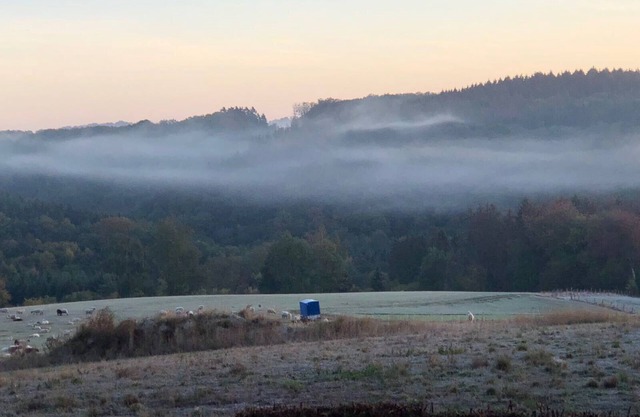 House in nature. Windhagen is a municipality in the Neuwied district