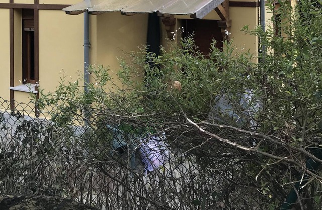 House in Pesués (Val de San Vicente)