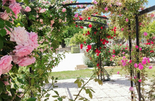 House in Provence Lavender (pool + air conditioning)