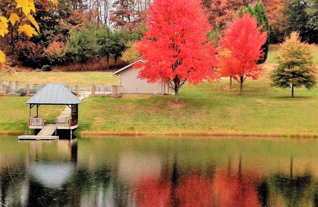 House in the Blue Ridge Mountains with a natural 2.5 acre natural pond.