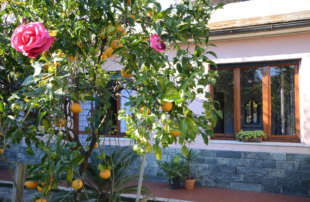 House in the green, 100 meters from the sea