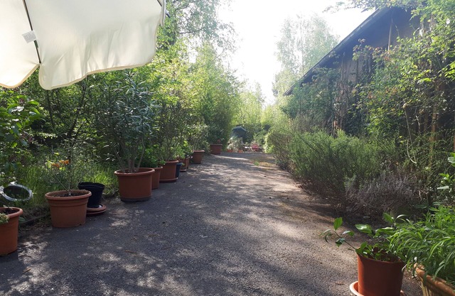 house in the green - just 10 minutes from the cathedral and 20 minutes by car to the airport