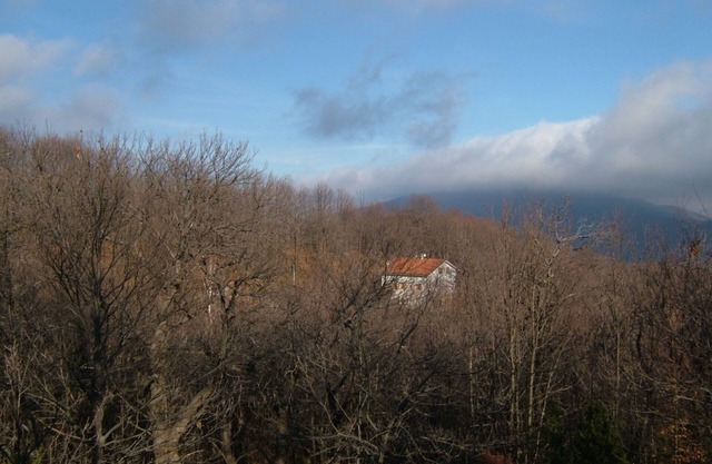 House in the woods Osiglia, Liguria