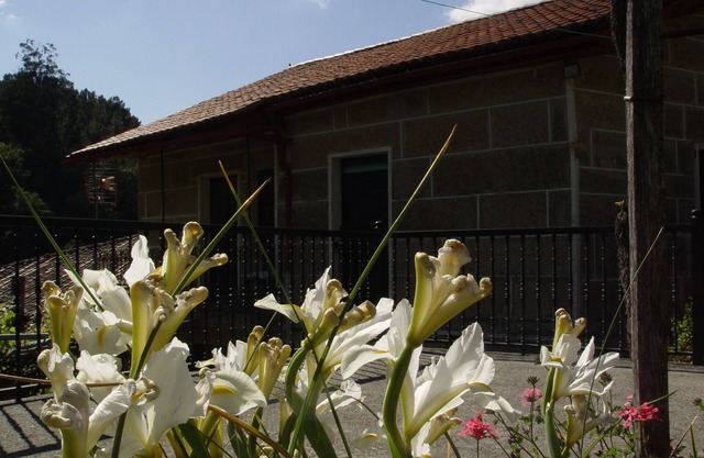 House in Viñoas - Ribeira Sacra (Ourense)