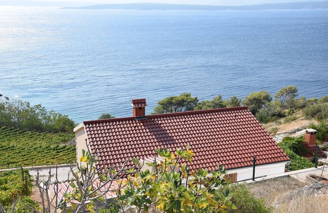 House MAJDA (79121-K1) - Nerezisce - island Brac