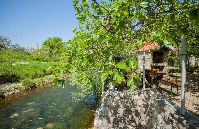 House next to the river Miro