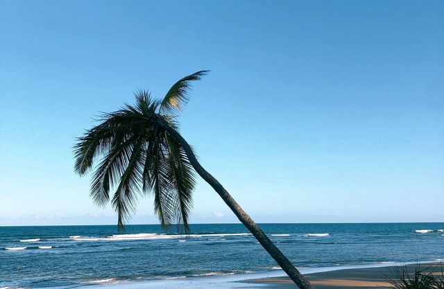 House on the beach - Península de Maraú - Bahia