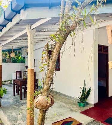 House Of Paradise
