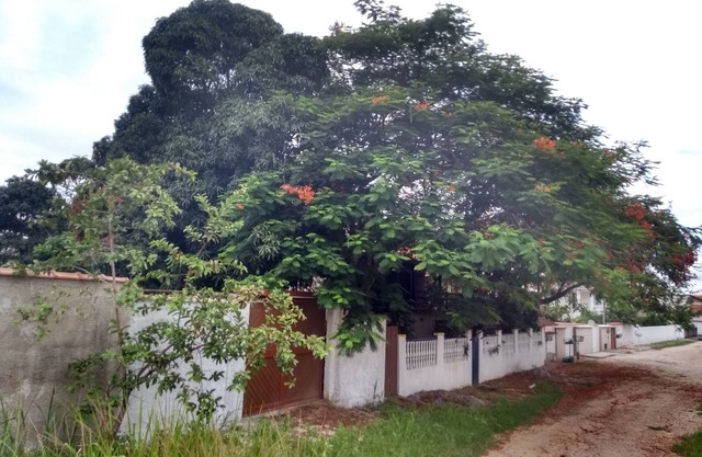House on the island Cabo Frio-rj