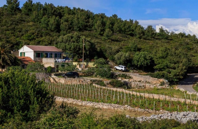 House Paradiso (112981-K1) - Vis - island Vis