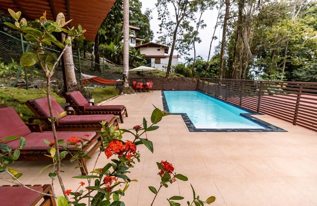 House,Pool in the jungle.Great location short walk to famous Playa la Macha