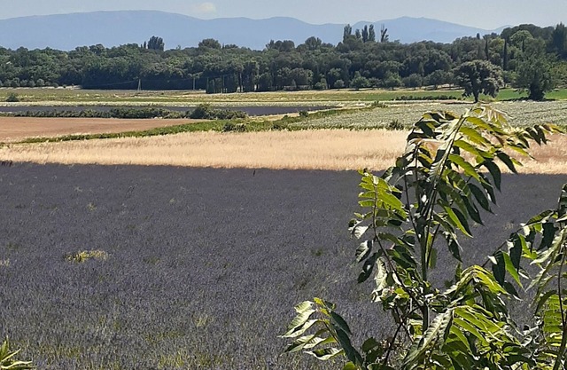 HOUSE sleeping 10 to 12 in Provence