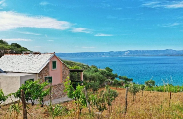 House Smokovlje (110531-K1) - Bol - island Brac