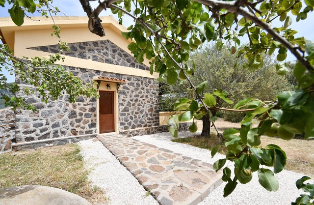 House surrounded by greenery, sea view