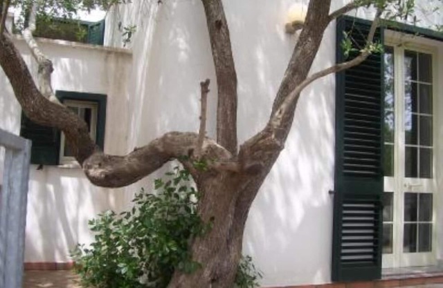 house/villa - 10 rooms - 16/20 persons