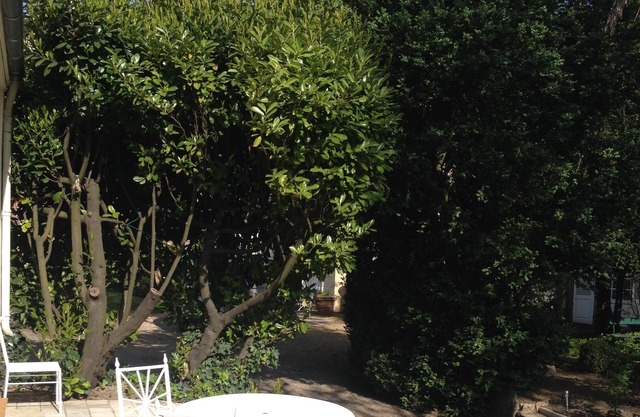 House / Villa - BeauneHouse with garden