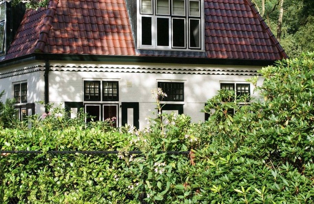 House with a garden, surrounded by forest