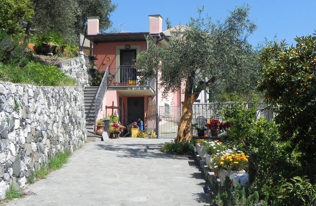 House with garden