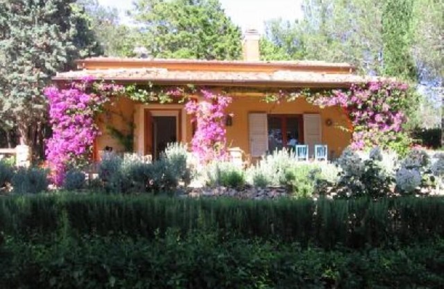 House with garden on hill
