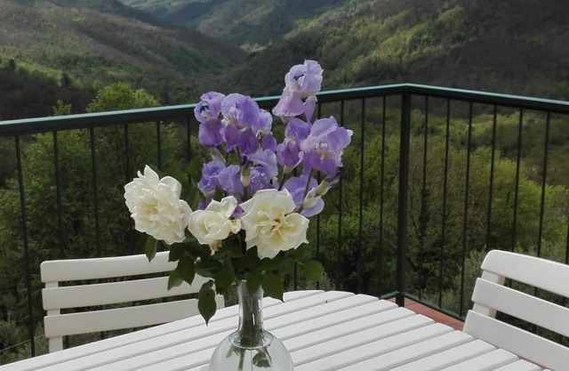 House with wonderful panoramic terrace overlooking the valley. All inclusive!