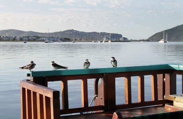 Houseboat in Knysna, beautiful views,spacious, relaxing and in a unique location