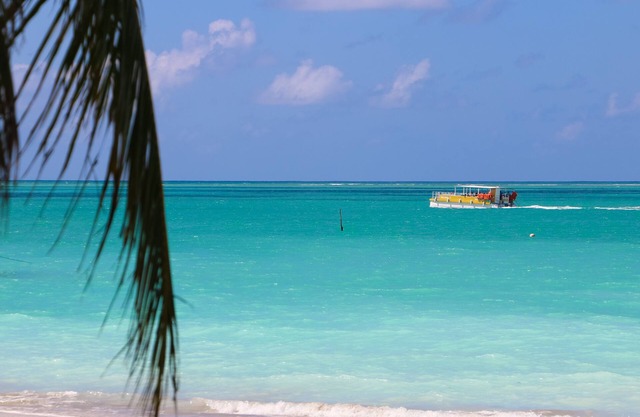 Houses and apartments for Sale BARRA GRANDE