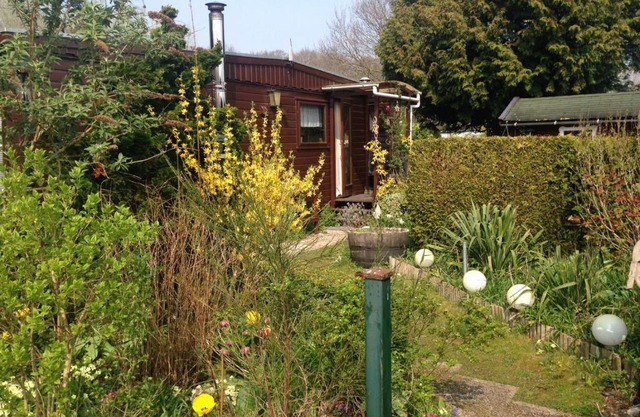 Houten chalet