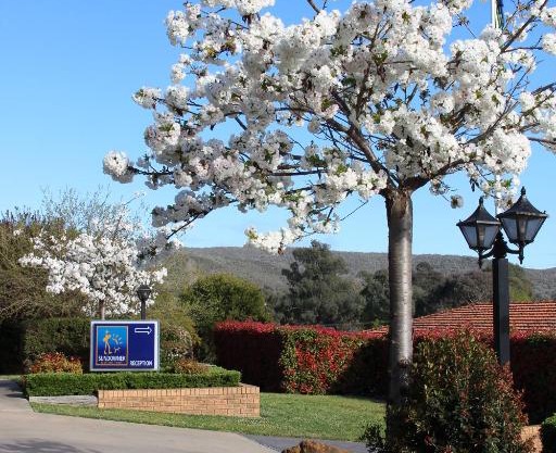 Hume Country Motor Inn