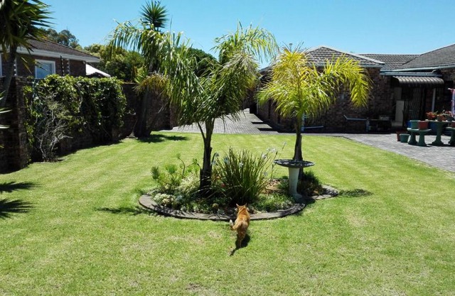 Humewood Home Stay